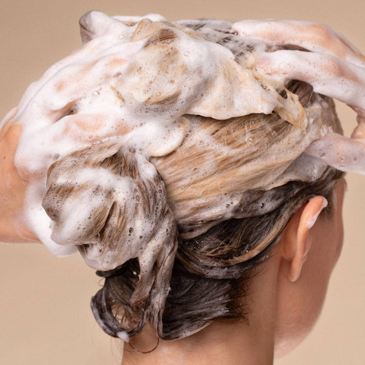 Shampoo