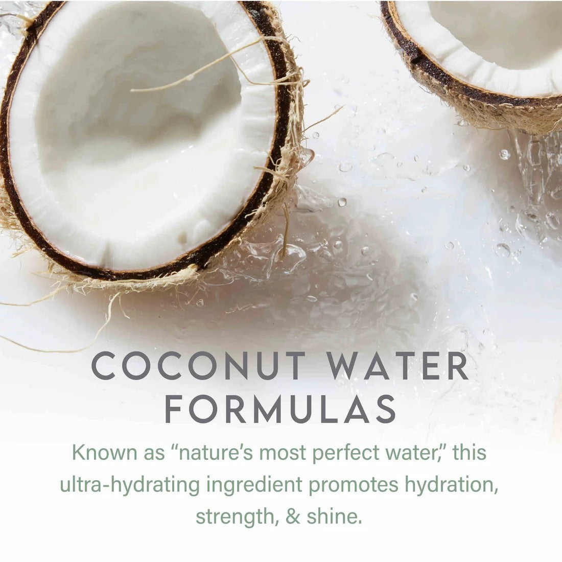 Coconut halves with text about coconut water formulas on a light background